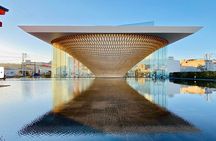 Fuji Highlights Group Car Tour by Shimizu Port with Local Guide