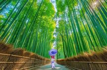 Kyoto Guided Private Tour 