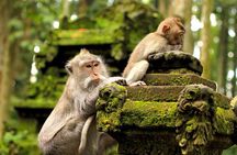 Bali All-Inclusive Tour : Best Waterfall, Temple & Rice Terrace