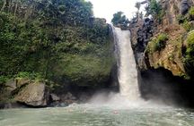 Full Day Tour Ubud Rice Terraces Waterfalls and Holy Springs