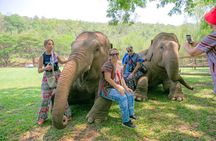 Chiang Mai Elephant Sanctuary and Sticky Waterfall Day Tour