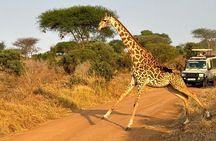 Elky 3 Days Amboseli and Tsavo East Safari