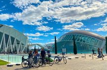 Private E-Bike City Tour of Valencia's History, Gardens
