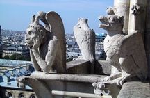 Notre-Dame Exterior Private Tour & Sainte-Chapelle/Crypt entry