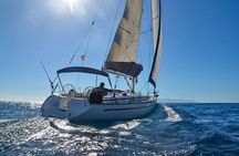 Dolphin and Whale Sailing Tour in Los Gigantes