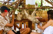 Wildlife adventure, Chocolate factory, city Tour & Beach Break
