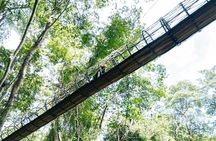 Sky Rock Khaolak Jungle Adventure Zipline Experience