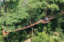 Sky Rock Khaolak Jungle Adventure: Zipline Thrills & Nature