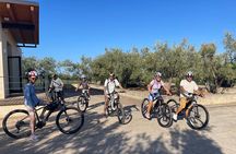 E-bike Tour Discovering Fasano