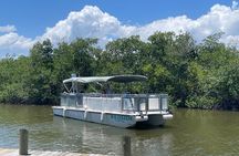 Dolphin Eco Cruise Nature Adventure in Cocoa Beach