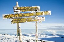 8 Day Kilimanjaro Climb via Lemosho Route 