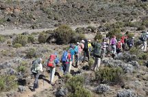 8 Day Kilimanjaro Climb via Lemosho Route 