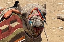 Private Tour to Grand Museum and Pyramids from Alexandria port