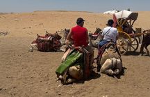 Private Tour to Grand Museum and Pyramids from Alexandria port