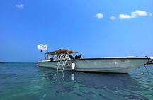 Snorkeling with Turtles: Dubai to Fujairah with Transfer and BBQ