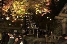 Kyoto Full Day Tour with Private Transportation