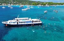 Slatine - Island Hopping Excursion (Trogir/Blue Lagoon/Shipwreck)