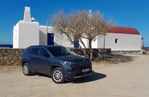 Mykonos Discovery : Half or Full Day Private Tour