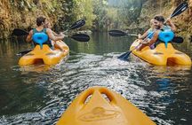  Xenotes Xcaret 4 Cenotes Adventure