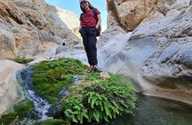 Explore Wadi Qurai Nature, Souq and Old Village, Hike and Swim