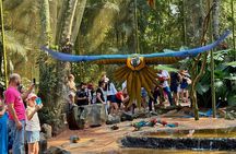 Private Tour Iguazu Falls Full Day Brazil with Bird Park