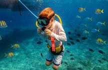 Snuba Cabo San Lucas Dive Without a Tank