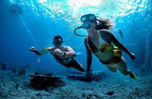 Snuba Cabo San Lucas Dive Without a Tank