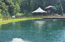 Day Trip to Silverbrook Farm with Fishing, Lunch, and Outdoor Fun