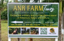Thrilling farm adventure in Trelawny