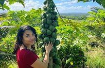 Thrilling farm adventure in Trelawny