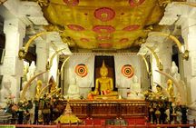 Kandy Day Trip: Colombo, Negombo, Bentota and Kalutara