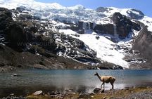 5 Days 4 Nights Salkantay Trek to Machu Picchu Private Tour