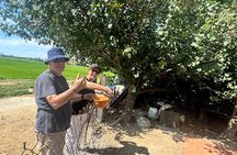 Hoi An Countryside and Old Town Private Tour