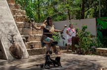 Otoch Cozumel Mayan Cultural Tour with Cenote, Tastings & Tequila