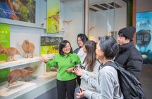 Museum of New Zealand Te Papa Tongarewa: Introducing Te Papa Tour