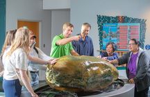 Museum of New Zealand Te Papa Tongarewa: Introducing Te Papa Tour