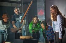 Museum of New Zealand Te Papa Tongarewa: Introducing Te Papa Tour