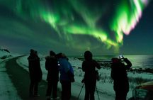 Explore Northern Lights with a Small Guided Arctic Tour