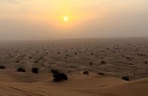 Dubai Sunrise Quad Bike Red Dunes Safari in Lahbab Desert