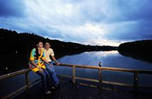 Private Kuala Selangor Firefly Tour with Seafood Dinner