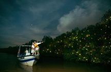 Private Kuala Selangor Firefly Tour with Seafood Dinner