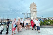 Singapore River Cruise and 2 Must-see Water Light Shows 