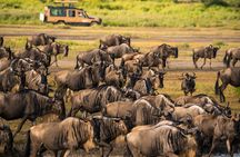 6-Day Ngorongoro, Serengeti & Tarangire NP Budget Tour
