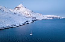 Explore Tromso Kaldfjord by Sailboat