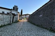 From Tirana: Berat city and Belshi lake daily trip 