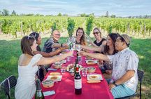 Bordeaux Full Day Wine Tour - 3 Wineries & Gourmet Picnic Lunch