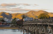 Kyoto Private Hightlights Customizable Tour&English Driver Guide