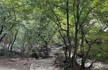 Private tour : Paklenica National Park