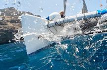 Catamaran Eco Tours in Gran Canaria