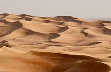 Evening Desert Safari in Red Dunes Dubai with Dinner and Show